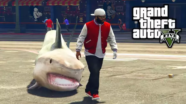 UN REQUIN DE COMPAGNIE SUR GTA V !