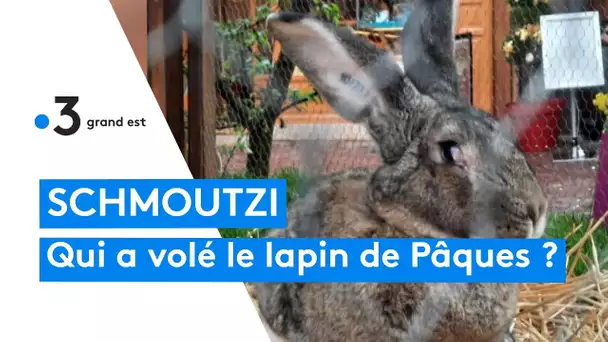 Qui a volé Schmoutzi, le lapin de Pâques géant de Colmar?