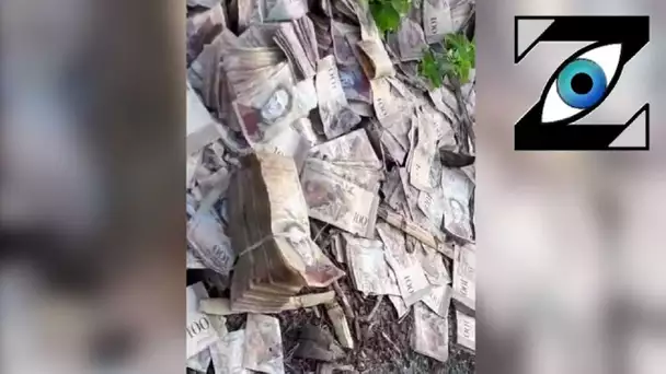 [Zap Net] Les Vénézuéliens jettent des milliers de billets à la poubelle ! (14/01/22)