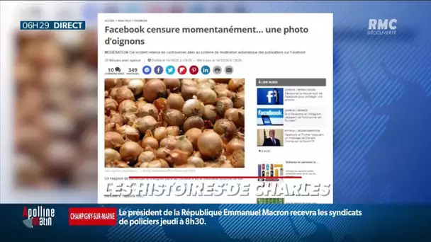 L'algorythme Facebook censure une photo d'oignons, jugée trop sexy