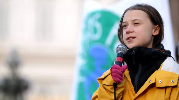 «Stop A69 !» : Greta Thunberg en soutien aux opposants à un projet d'autoroute