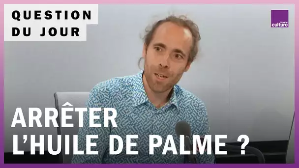 Huile de palme : pourquoi la consommation continue d’augmenter