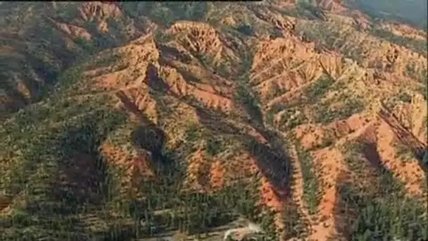 Etats Unis : De Red Canyon à Zion National Park