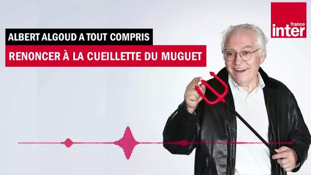 Renoncer à la cueillette du muguet - Albert Algoud a tout compris