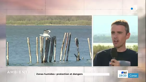 IN TANTU PER L'AMBIENTE : Zones humides : protection et dangers (10/10/2023)