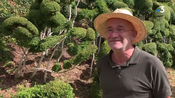 Sarthe : le jardinier remarquable du Prieuré de Vaubouin