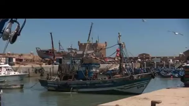 MEDITERRANEO – Essaouira, au Maroc, est une perle de l’Océan atlantique