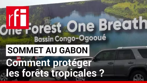« One Forest Summit » au Gabon : protéger la forêt tropicale • RFI