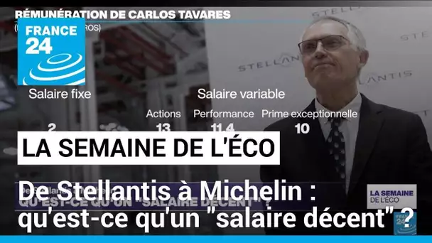De Stellantis à Michelin : qu'est ce qu'un "salaire décent" ? • FRANCE 24