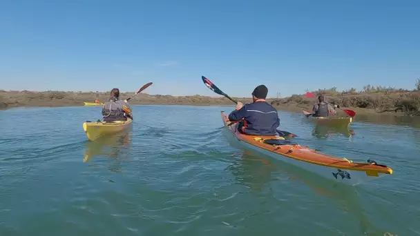 Prendre l'air en kayak sur la Seudre en Charente-Maritime