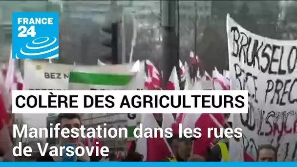 Colère des agriculteurs polonais : manifestation dans les rues de Varsovie • FRANCE 24
