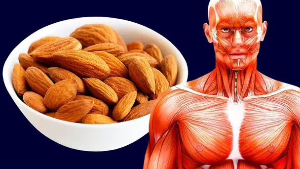 Que se Passerait-il si tu Mangeais 20 Amandes Par Jour ?