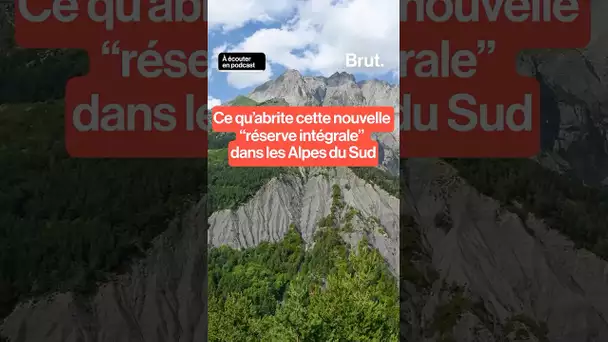 Que se cache-t-il dans ces endroits en France strictement interdits au public ?⁣
