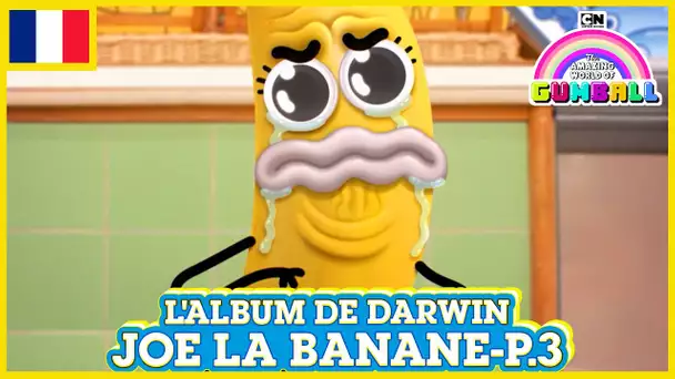 L'album de Darwin 🇫🇷 | Joe la Banane, Partie 3