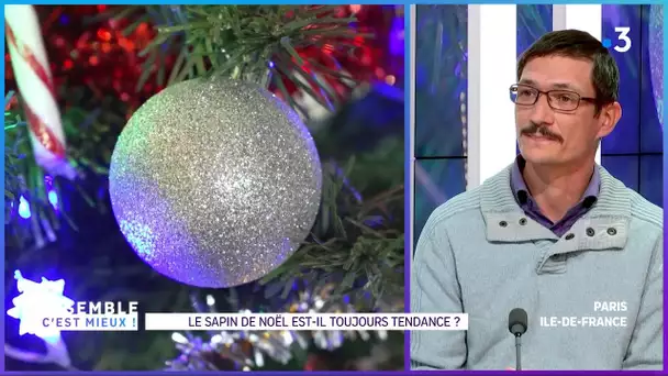 Ensemble c'est mieux : Le sapin de Noël a-t-il toujours la côte ?