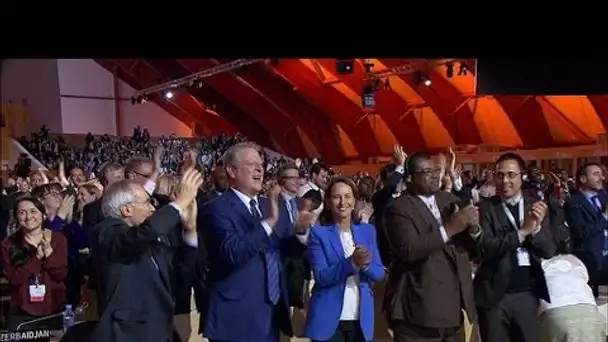 COP21: standing ovation pour l&#039;adoption de l&#039;accord de Paris sur le climat
