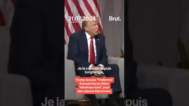 Donald Trump accuse "l'indienne" Kamala Harris d'être "devenue noire" par opportunisme