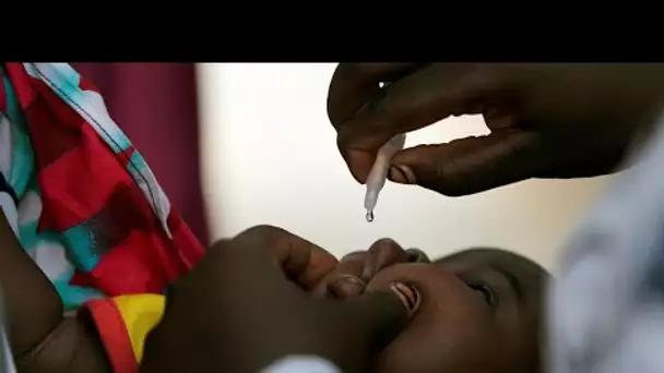 L'OMS annonce l'éradication de la polio sur le continent africain