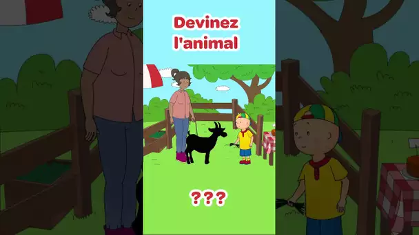 Pouvez-vous deviner l'animal?