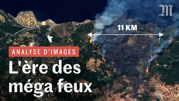 Incendies géants : pourquoi les feux de forêt sont de plus en plus gigantesques