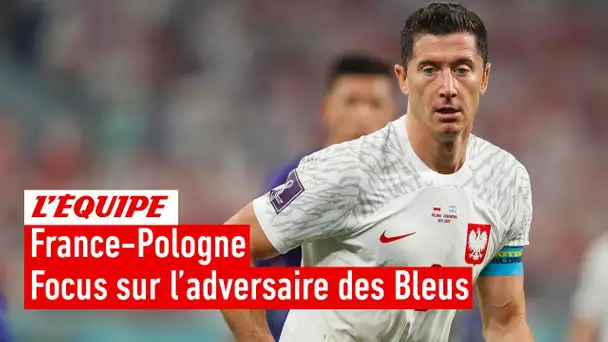 France-Pologne : Ce qu'il faut savoir sur l'adversaire des Bleus en 8e de la Coupe du monde 2022