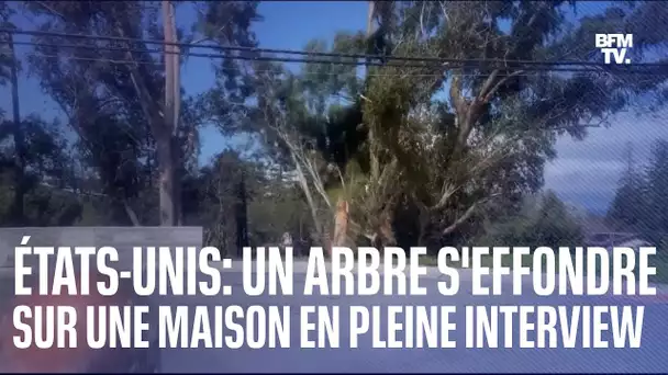 En Californie, un arbre s'effondre sur une maison en pleine interview