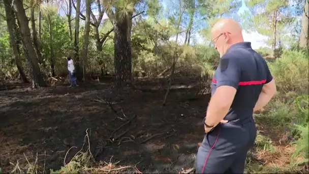 Ille-et-Vilaine : les autorités en alerte face aux risques d'incendie en milieu naturel