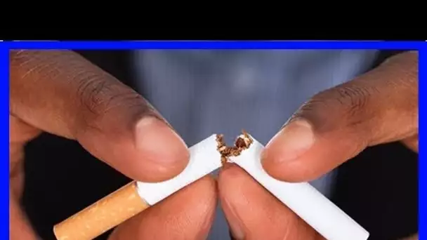 La vérité sur les cigarettes d’aujourd’hui: ce qu’ils ne veulent pas que vous sachiez