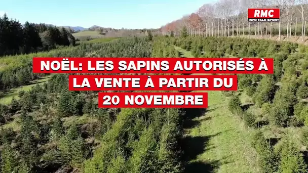 INFO RMC: les sapins de Noël seront bien autorisés à la vente à partir du 20 novembre