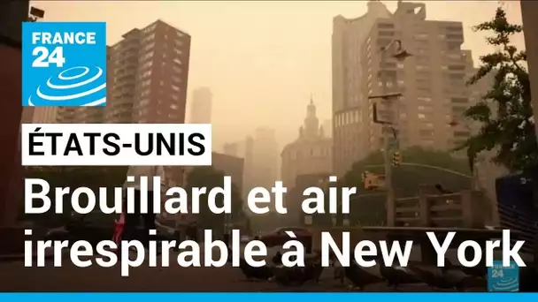 Brouillard et air irrespirable à New York à cause des incendies au Québec • FRANCE 24
