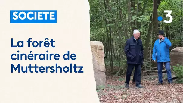 La forêt cinéraire de Muttersholtz