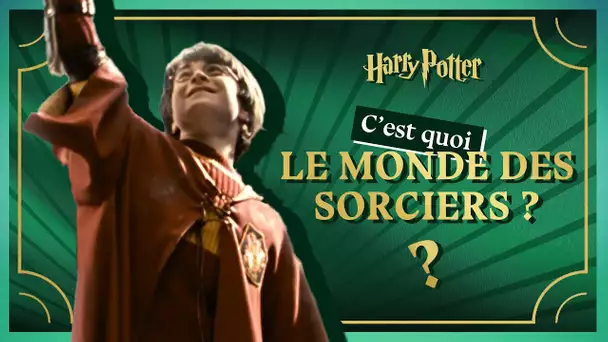 Harry Potter - EP. 1 - Introduction au monde des sorciers