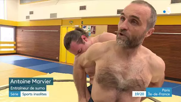 SERIE. Les sports insolites (2/4) : Le Sumo