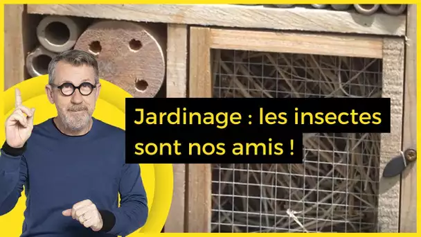 Jardinage : les insectes sont nos amis !  - C Jamy