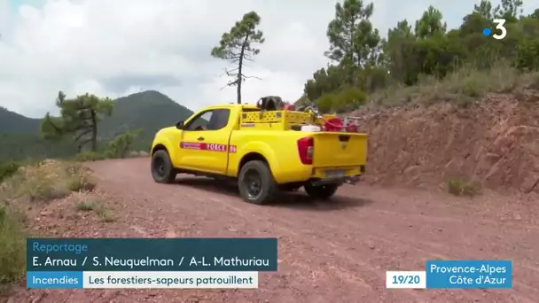 Alpes-Maritimes : Pour signaler tout départ de feu, les forestiers-sapeurs sont en première ligne