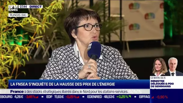 Christiane Lambert (FNSEA) : La souveraineté alimentaire française est-elle menacée ?