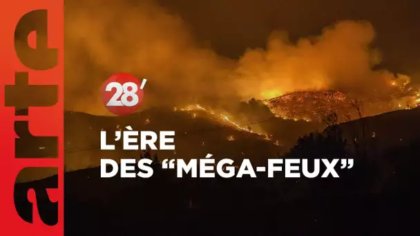 La planète à l’ère des "méga-feux" : comment s’adapter ? - 28 Minutes - ARTE