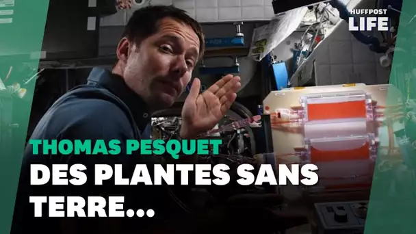 Comment Thomas Pesquet essaie de faire pousser des plantes sur l'ISS