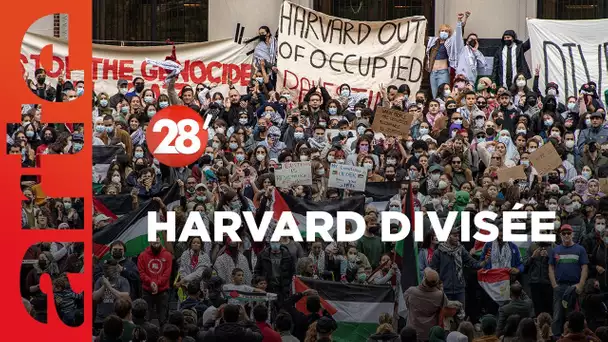 Harvard, un automne de division - 28 Minutes - ARTE