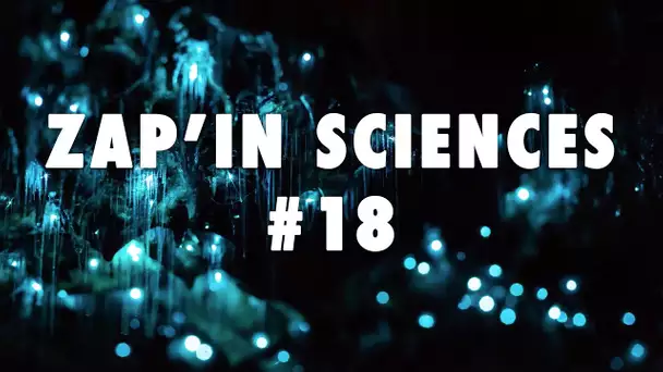 Zap'In Sciences #18 - L'Esprit Sorcier