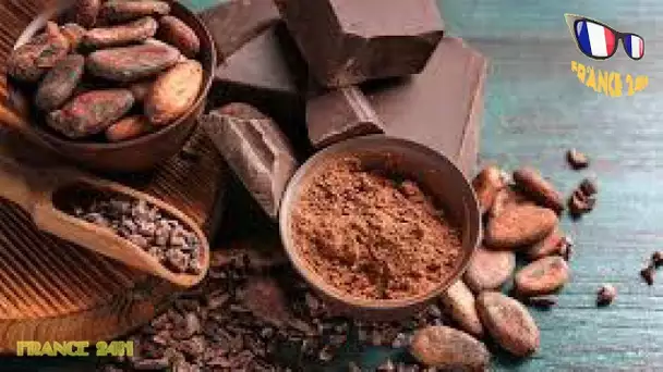 Le cacao cru, la gourmandise antioxydante