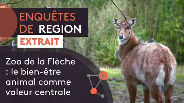 Zoo de la Flèche : le bien-être animal comme valeur centrale