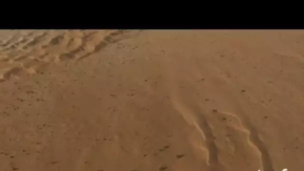 Mauritanie : vol d'un avion au dessus du désert