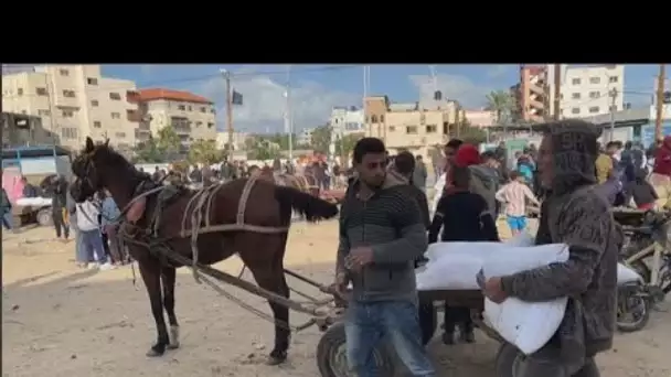 L'ONU distribue de la farine dans la bande de Gaza