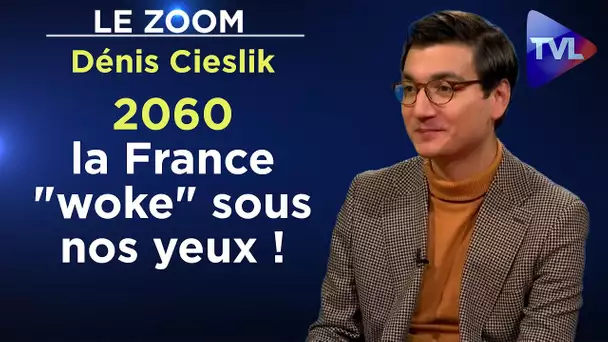 2060 : dans l’enfer d’une France inclusive, antiraciste, woke au pouvoir ! - Le Zoom - Dénis Cieslik