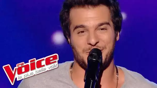 OneRepublic – Counting Stars | Amir Haddad | The Voice France 2014 | Prime 1
