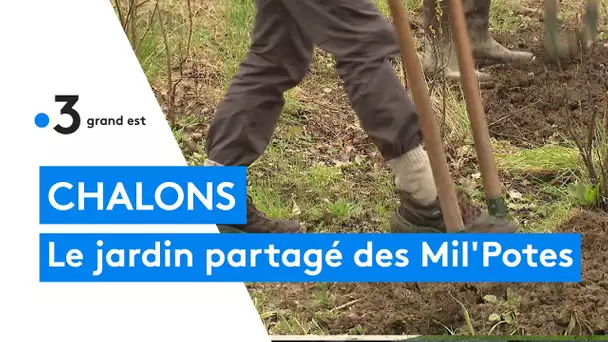 Le jardin partagé des Mil'potes à Chalons en Champagne