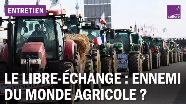 Libre-échange : le Mercosur contre les agriculteurs ?