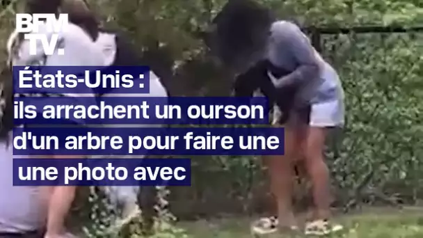 États-Unis: ils arrachent des oursons d'un arbre pour prendre une photo avec