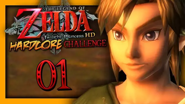 ZELDA TP HARDCORE : CHALLENGE EN HÉROÏQUE ! #01